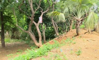 Titled Commercial / Residential lot for Sale, San Fernando City, La Union (SOLD)