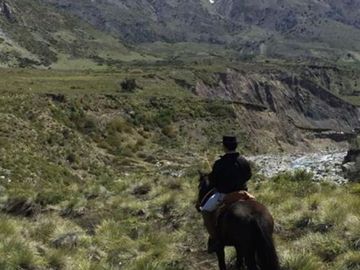 Se vende campo de 7860 Hás En San Clemente, Región del Maule