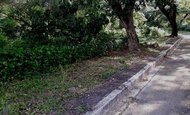 Affordable 150 Sqm Flat Lot for Sale in Greenwoods Subdivision near Talamban Cebu City