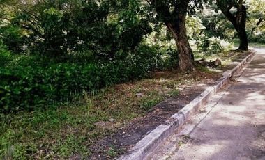 Affordable 150 Sqm Flat Lot for Sale in Greenwoods Subdivision near Talamban Cebu City