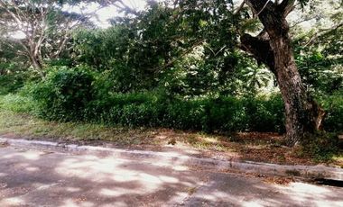 Affordable 150 Sqm Flat Lot for Sale in Greenwoods Subdivision near Talamban Cebu City
