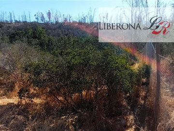 Parcela en Venta en Parcela en Villa Alemana