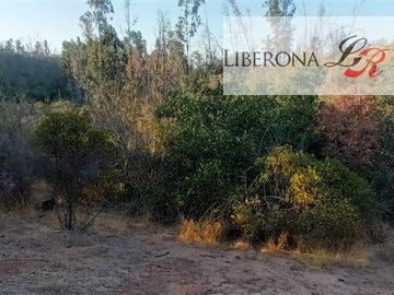 Parcela en Venta en Parcela en Villa Alemana