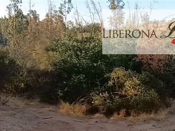 Parcela en Venta en Parcela en Villa Alemana
