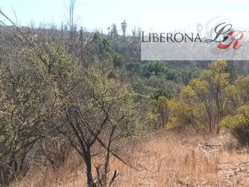 Parcela en Venta en Parcela en Villa Alemana