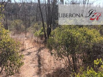 Parcela en Venta en Parcela en Villa Alemana