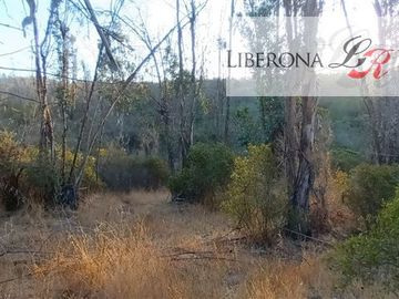 Parcela en Venta en Parcela en Villa Alemana