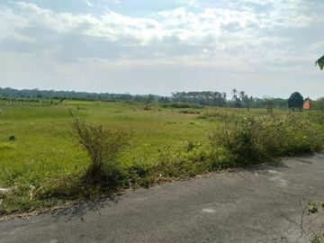Kavling Murah Daerah Mungkid Magelang, SHM Aman, Cicil 12x