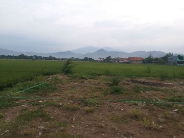 Kavling Siap Bangun Strategis Murah Dekat Podomoro Park