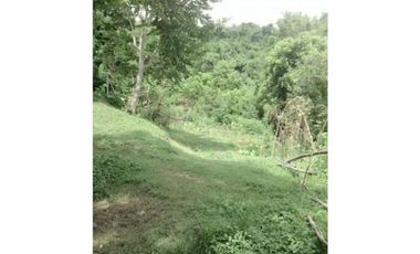 Agricultural Lot for Sale in San Fernando, La