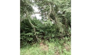 Agricultural Lot for Sale in San Fernando, La