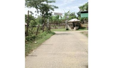 Agricultural Lot for Sale in San Fernando, La