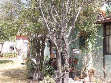 SE VENDE CASAEN TEPOTZOTLAN  SOLO EFECTIVO
