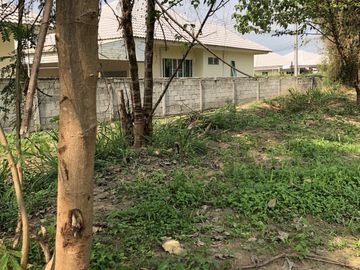 Land for sale in Don Kaeo, Chiang Mai