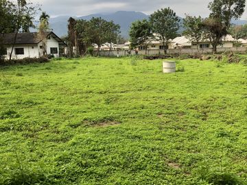 Land for sale in Don Kaeo, Chiang Mai