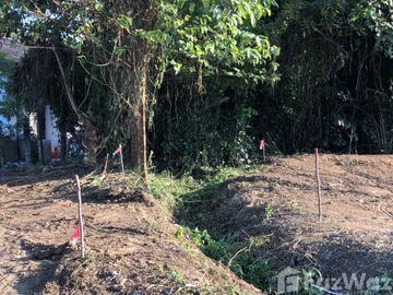 Land for sale in Don Kaeo, Chiang Mai