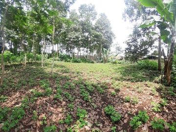 TANAH DI PAKUHAJI CIPAGERAN CIMAHI