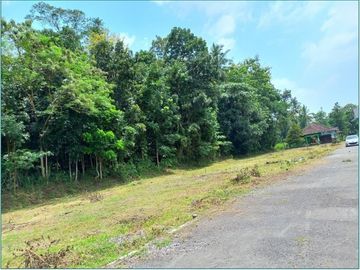 Tanah Matang Dalam Cluster Selatan Kampus