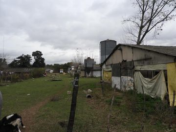 EXCELENTE QUINTA TIPO GRANJA DE SIETE HECTÁREAS EN BARRIO MALAVER PARTIDO DE MORENO PROVINCIA DE BUENOS AIRES