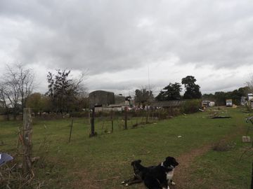 EXCELENTE QUINTA TIPO GRANJA DE SIETE HECTÁREAS EN BARRIO MALAVER PARTIDO DE MORENO PROVINCIA DE BUENOS AIRES