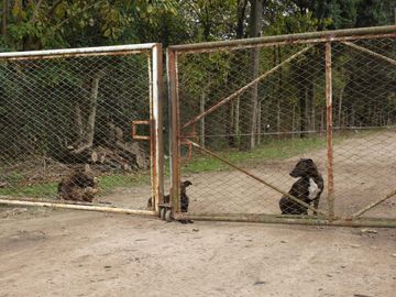 EXCELENTE QUINTA TIPO GRANJA DE SIETE HECTÁREAS EN BARRIO MALAVER PARTIDO DE MORENO PROVINCIA DE BUENOS AIRES