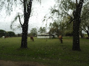EXCELENTE QUINTA TIPO GRANJA DE SIETE HECTÁREAS EN BARRIO MALAVER PARTIDO DE MORENO PROVINCIA DE BUENOS AIRES
