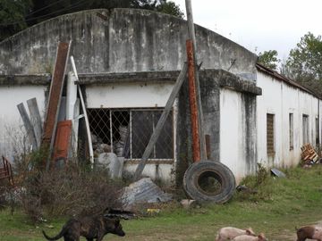 EXCELENTE QUINTA TIPO GRANJA DE SIETE HECTÁREAS EN BARRIO MALAVER PARTIDO DE MORENO PROVINCIA DE BUENOS AIRES