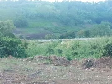 lot for sale