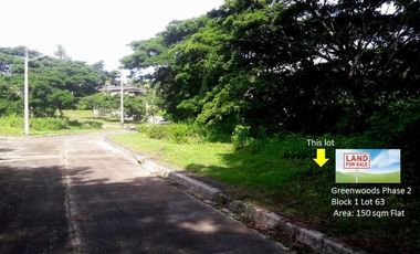 Most Affordable 150 Sqm Lot for Sale in Greenwoods near Talamban Cebu City