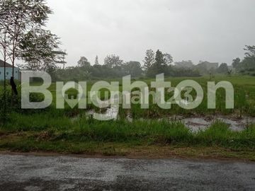 Di Jual Tanah Pekarangan Luas Banget Di sidokarto Dekat Koramil Godean