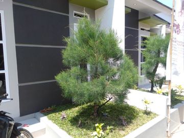 rumah impian harga terjangkau