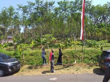 Tanah di Ds Bumirejo - Gunung Kawi