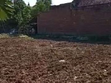Dijual Tanah Kandangasin, Wringinanom, Gresik Dekat Legundi, Driyorejo
