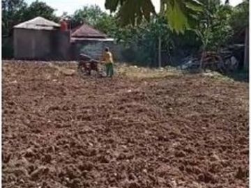 Dijual Tanah Kandangasin, Wringinanom, Gresik Dekat Legundi, Driyorejo