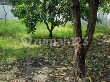Tanah Sudah Tembok Keliling Daerah Kaligangsa Wetan
