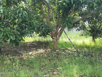Tanah Sudah Tembok Keliling Daerah Kaligangsa Wetan