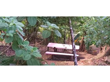 SE VENDE CABAÑA EN CERRO CAMPANA SECTOR ORIENTE