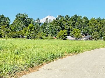 CERCA DE PANGUIPULLI