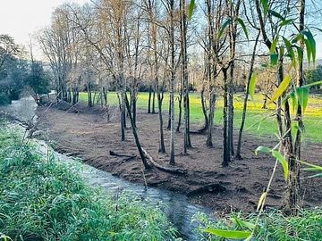 CERCA DE PANGUIPULLI