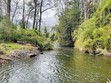 CERCA DE PANGUIPULLI