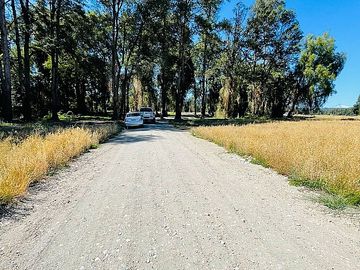 CERCA DE PANGUIPULLI