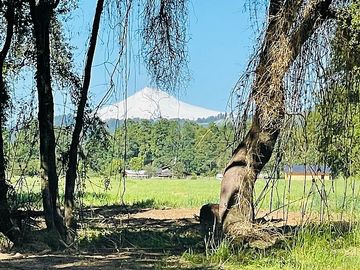 CERCA DE PANGUIPULLI