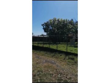 VENDO 800 HECTAREAS EN  SON, PRECIO NEGOCIABLE satiago