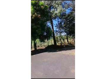 VENDO 800 HECTAREAS EN  SON, PRECIO NEGOCIABLE satiago