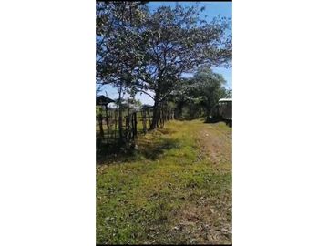 VENDO 800 HECTAREAS EN  SON, PRECIO NEGOCIABLE satiago