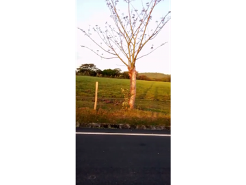 VENDO 800 HECTAREAS EN  SON, PRECIO NEGOCIABLE satiago