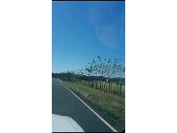 VENDO 800 HECTAREAS EN  SON, PRECIO NEGOCIABLE satiago
