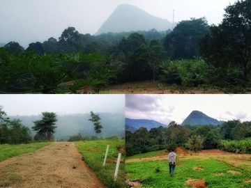 Tanah Kebun Produktif Pemandangan yang spektakuler