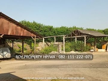 Dijual Tanah Marunda 3.900 M2 Cilincing Jakut ( Lego Cepat )