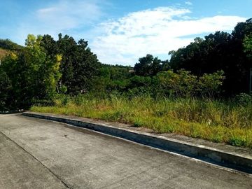 177 SQM Subdivision Lot for Sale in Upper Casili Greenville Heights Consolacion Cebu